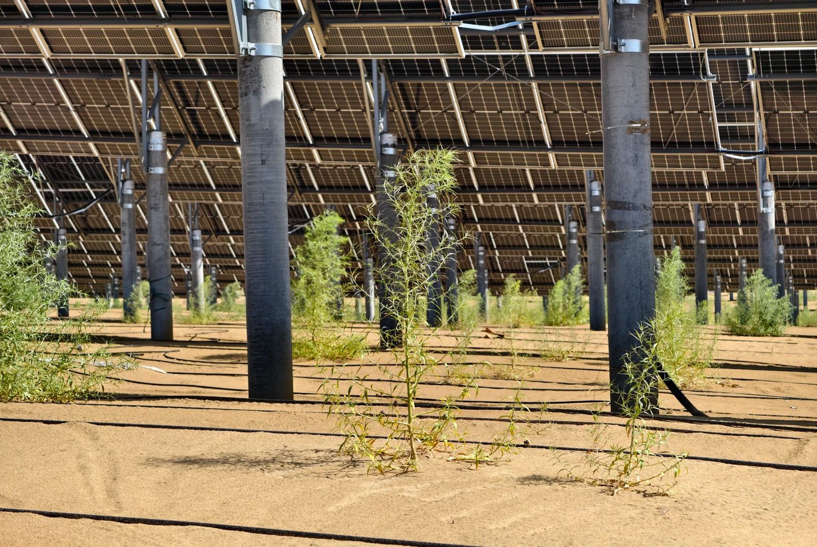 SINCORE warehouse with stacked solar modules